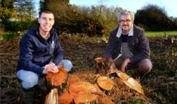 Deux hommes accroupis devant des troncs d'arbres coupés