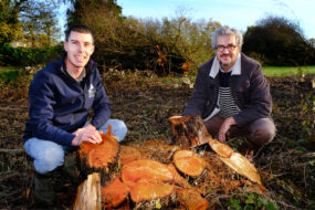 Deux hommes accroupis devant des troncs d'arbres coupés