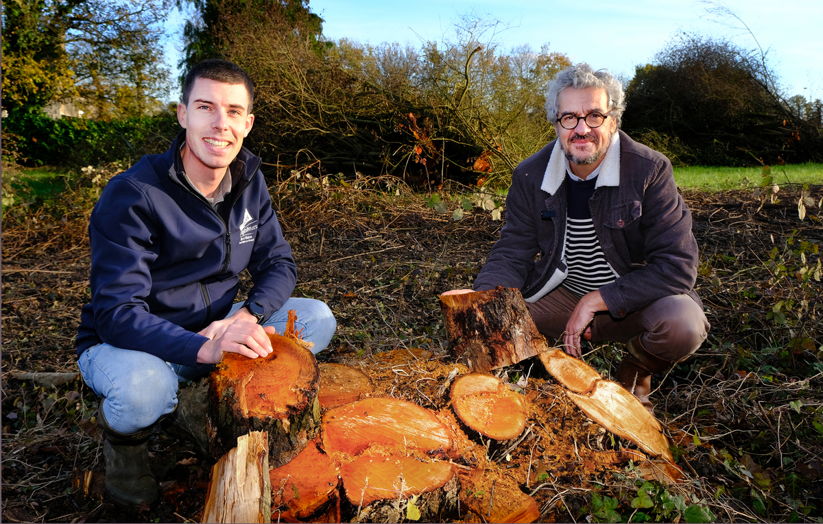 Deux hommes accroupis devant des troncs d'arbres coupés - Illustration Eau : Remonter à ‘‘la source’’ pour limiter le risque de pénurie