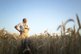 Agriculteur  dans un champ de blé.