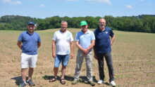 Quatre agriculteurs dans un champ de maïs