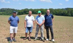 Quatre agriculteurs dans un champ de maïs