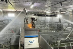 robot de lavage dans élevage porcin