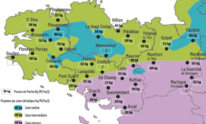 carte de la pousse de l'herbe en bretagne du 19 au 27 mai 2026