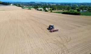 vue drone d'un tracteur en train de semer du maïs
