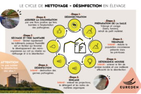 infographie du cycle de nettoyage désinfection des locaux et bâtiments en exploitation agricole
