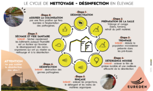 infographie du cycle de nettoyage désinfection des locaux et bâtiments en exploitation agricole