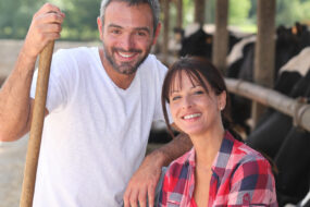 Un couple souriant devant des vaches au cornadis