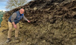 Un éleveur devant un silo d'ensilage d'herbe