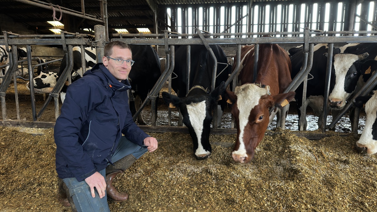 éleveur devant ses vaches dans un bâtiment - Illustration Plus de fourrage sans hectare supplémentaire