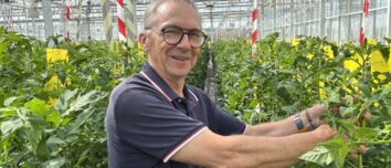 Une personne avec des plants de tomates