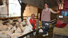 un homme et une femme dans un bâtiment d'élevage de chèvres