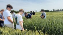 étudiants dans parcelle de blé