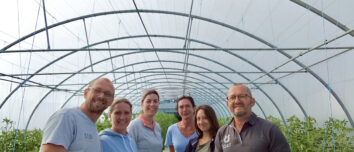 Des maraîchers dans une serre de tomates