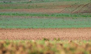 Vue sur des champs cultivés