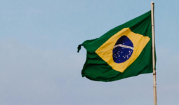 drapeau brésilien