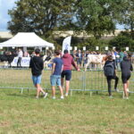 Des bovins défilent avec des jeunes