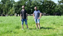 Deux hommes devant des vaches qui pâturent