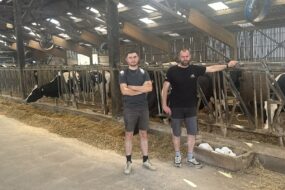 Deux hommes devant la table d'alimentation avec cornadis dans un bâtiment d'élevage abritant des vaches de race Prim'Holstein