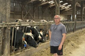 Un éleveur devant la table d'alimentation fréquentée par des vaches de race Holstein