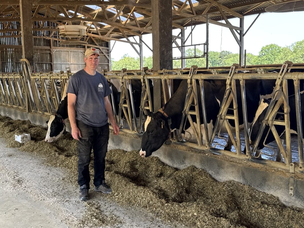 Un éleveur devant la table d'alimentation de son bâtiment fréquenté par des vaches de race Holstein