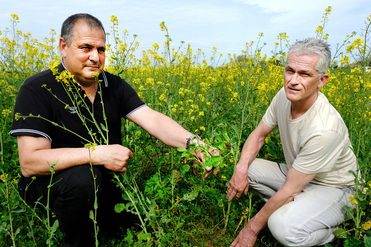 Deux hommes accroupis au milieu d'un champ - Illustration ‘‘Sols de Bretagne’’ soutient l’agriculture régénératrice