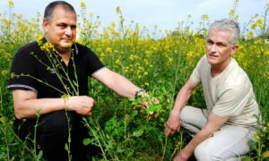 Deux hommes accroupis au milieu d'un champ
