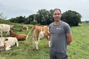 Un homme devant des vaches dans un champ