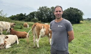 Un homme devant des vaches dans un champ