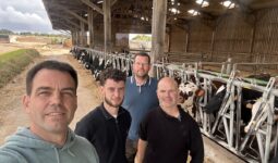 Quatre hommes devant des vaches au cornadis dans un bâtiment agricole ouvert
