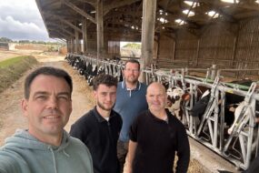 Quatre hommes devant des vaches au cornadis dans un bâtiment agricole ouvert