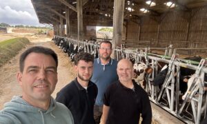 Quatre hommes devant des vaches au cornadis dans un bâtiment agricole ouvert