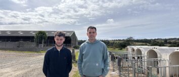Deux hommes dans une cour de ferme devant des cases à veau