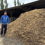 Un homme à côté d'un tas de bois déchiqueté