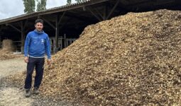 Un homme à côté d'un tas de bois déchiqueté