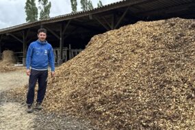 Un homme à côté d'un tas de bois déchiqueté