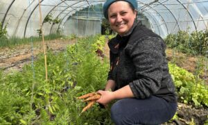 Une femme souriante accroupie dans une serre avec des carottes avec des carottes dans les mains