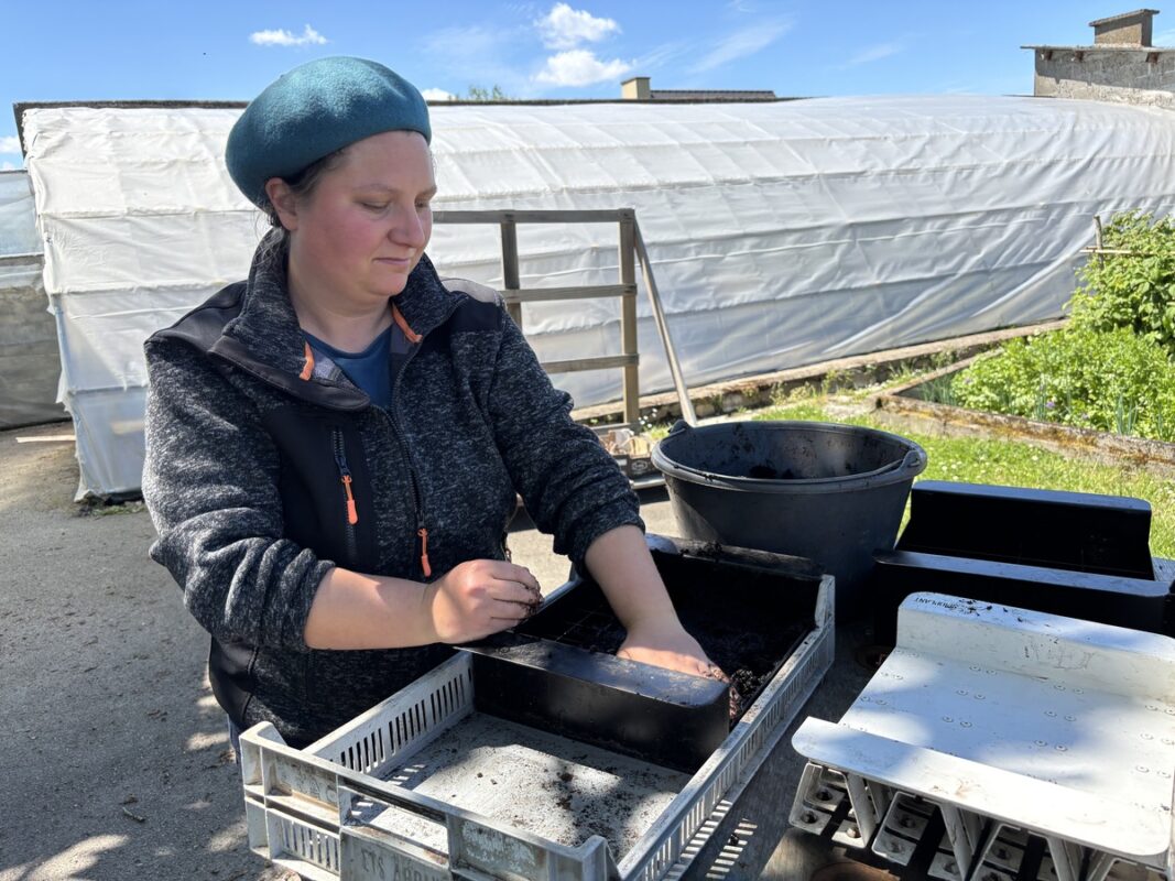 Une femme étale du terreau dans des moules