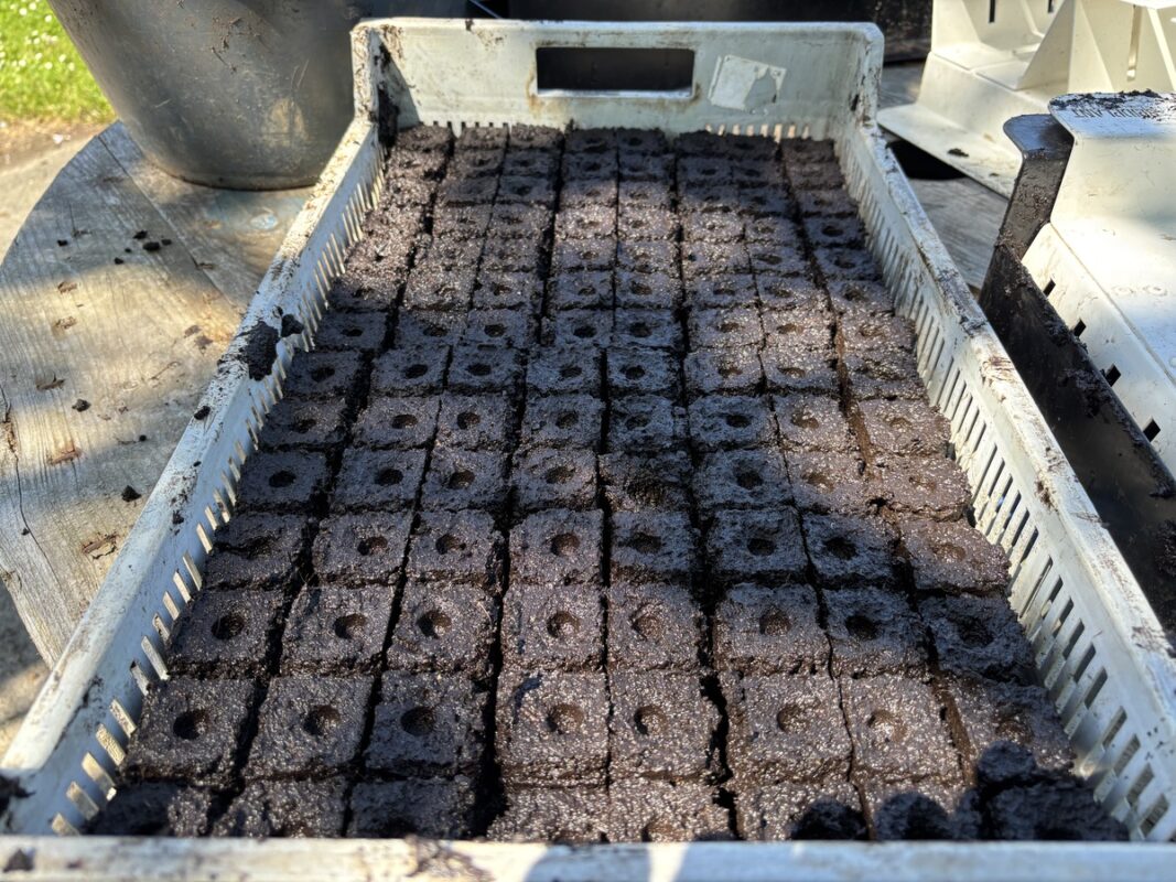 Un cageot avec des mottes horticoles