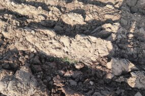 Gros plan sur de la terre labourée