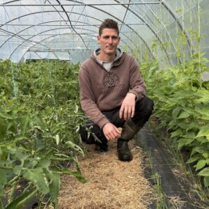 Un maraîcher accroupi dans une serre de légumes