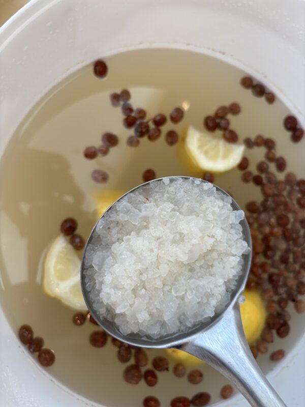 Des grains de kéfir dans une louche au dessus d'un récipient avec du liquide
