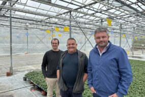 3 hommes dans une serre de légumes