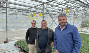 3 hommes dans une serre de légumes