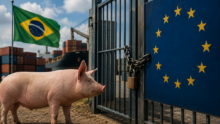 Un cochon avec un drapeau brésilien derriere se tient devant un portail cadenassé qui arborre le drapeau européen