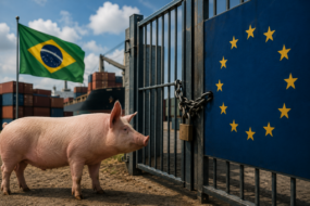 Un cochon avec un drapeau brésilien derriere se tient devant un portail cadenassé qui arborre le drapeau européen