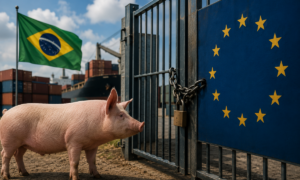 Un cochon avec un drapeau brésilien derriere se tient devant un portail cadenassé qui arborre le drapeau européen