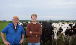 2 hommes dans un champ au mileu d'un troupeau de vaches