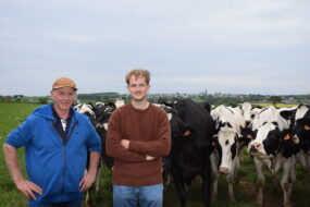 2 hommes dans un champ au mileu d'un troupeau de vaches