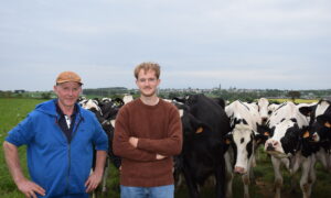 2 hommes dans un champ au mileu d'un troupeau de vaches